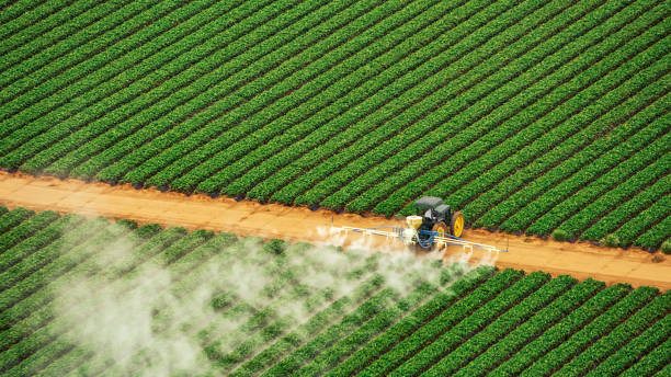 Pest Prevention Services in The Crossings, FL