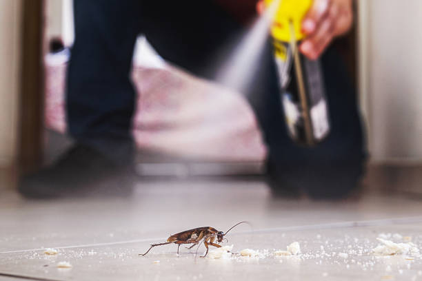 Best Best Pest Control Companies  in The Crossings, FL